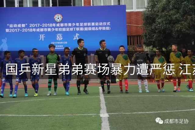 国乒新星弟弟赛场暴力遭严惩 江苏乒协开出禁赛一年罚单