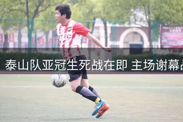 泰山队亚冠生死战在即 主场谢幕战或成赛季转折点
